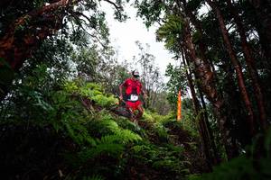 BIB: 
                            <button type="button" onclick="openModal(26203809)" class="btn btn-primary btn-sm float-right btn-popup" data-toggle="modal" data-target=".modal-high-quality">
                        <i class="fas fa-shopping-cart"></i> Add to Cart
                    </button>
                                            <button type="button" onclick="isThisMe(26203809, true)" class="btn btn-success btn-sm float-right btn-popup btn-isme hidden" data-toggle="tooltip" data-placement="bottom" title="นี่คือรูปของคุณใช่ไหม คลิกที่นี่เพื่อเอาเข้าอัลบั้ม">
                        <i class="fas fa-plus"></i> Add to album
                    </button>
                    <button type="button" onclick="isThisMe(26203809, false)" class="btn btn-warning btn-sm float-right btn-popup btn-isnotme hidden">
                        <i class="fas fa-ban"></i> Remove from album
                    </button>